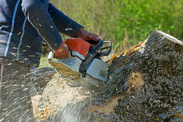Soil Testing and Treatment in Northport, NY